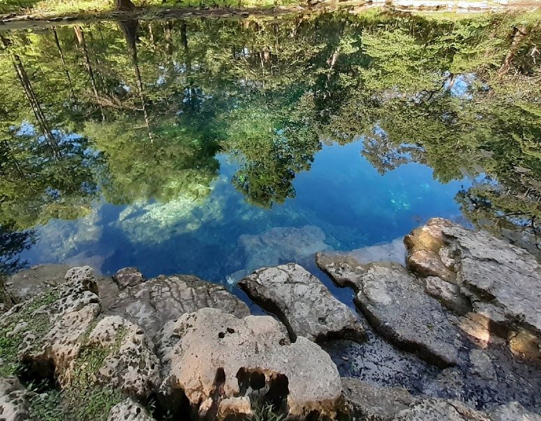Wes Skiles Peacock Springs State Park, Florida, USA